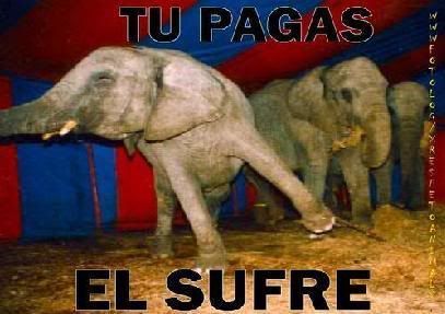 Maltrato animal Un crimen repudiable Maltrato animal Un crimen repudiable