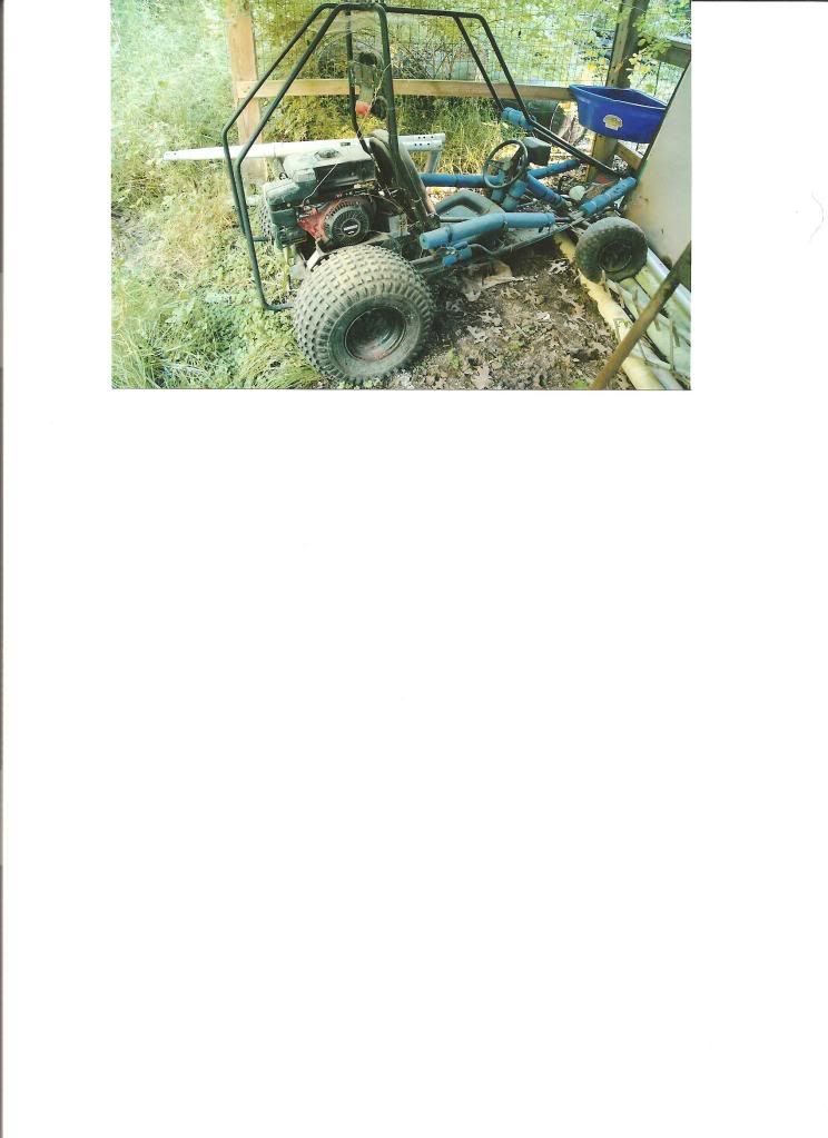buggy001.jpg