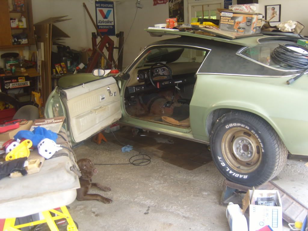 SS101206.jpg