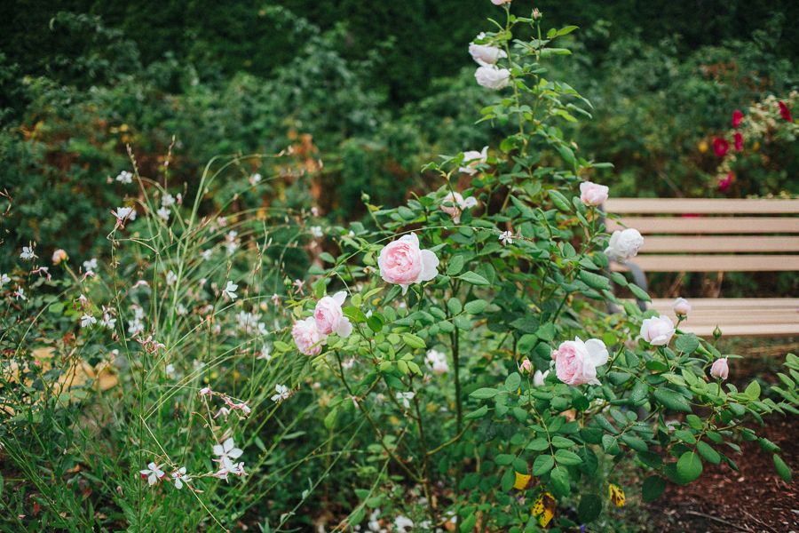  photo IMG_5017_zps952609d0.jpg