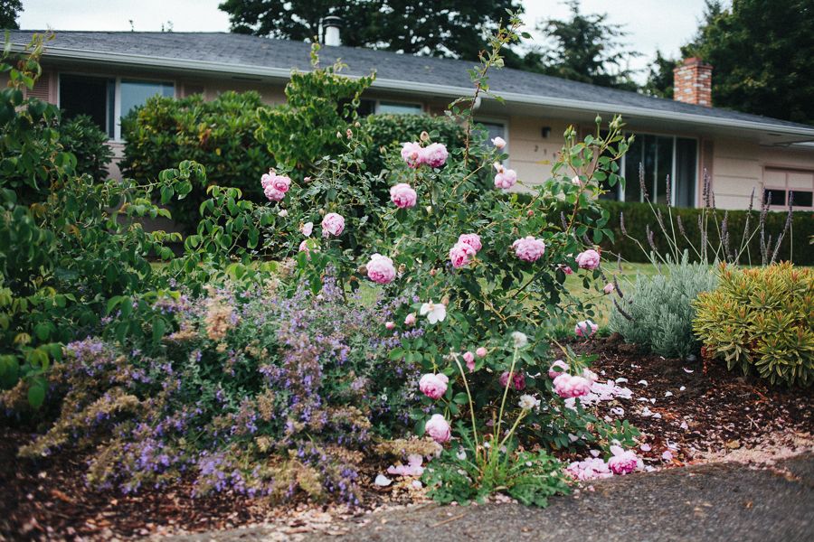  photo IMG_5024_zps44da59ca.jpg