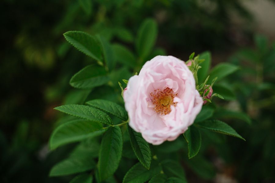  photo IMG_5047_zpsff8e32da.jpg