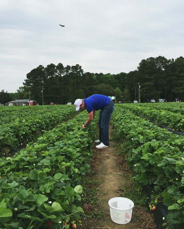  strawberry picking | creative index blog