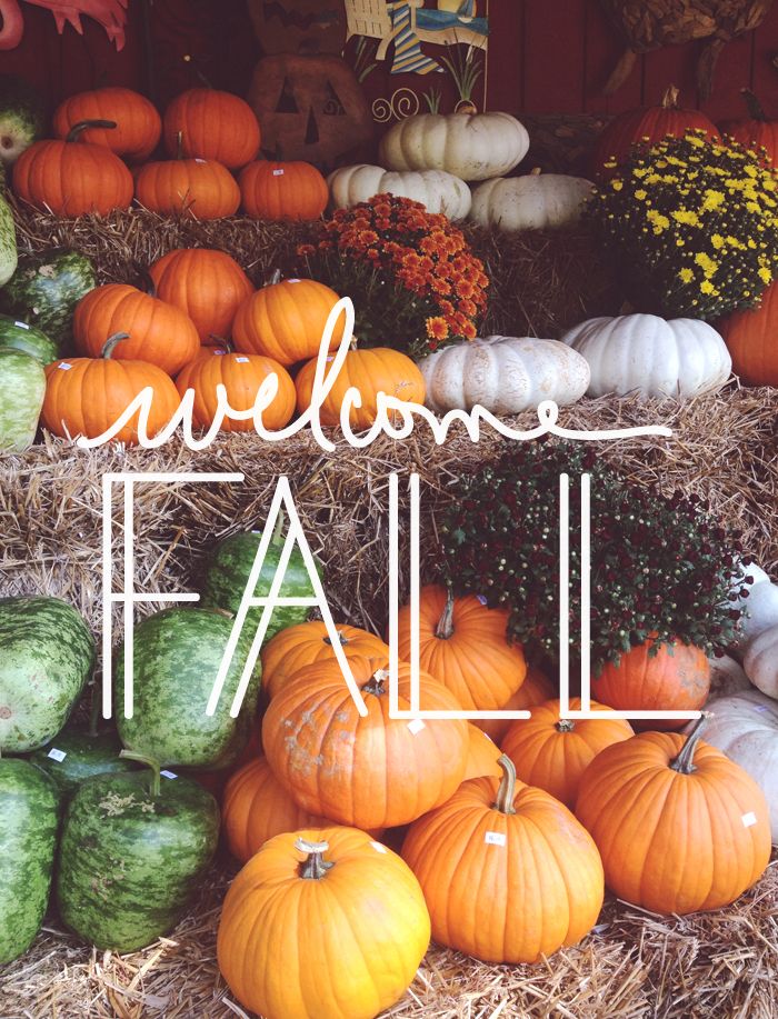  creative index | welcome fall