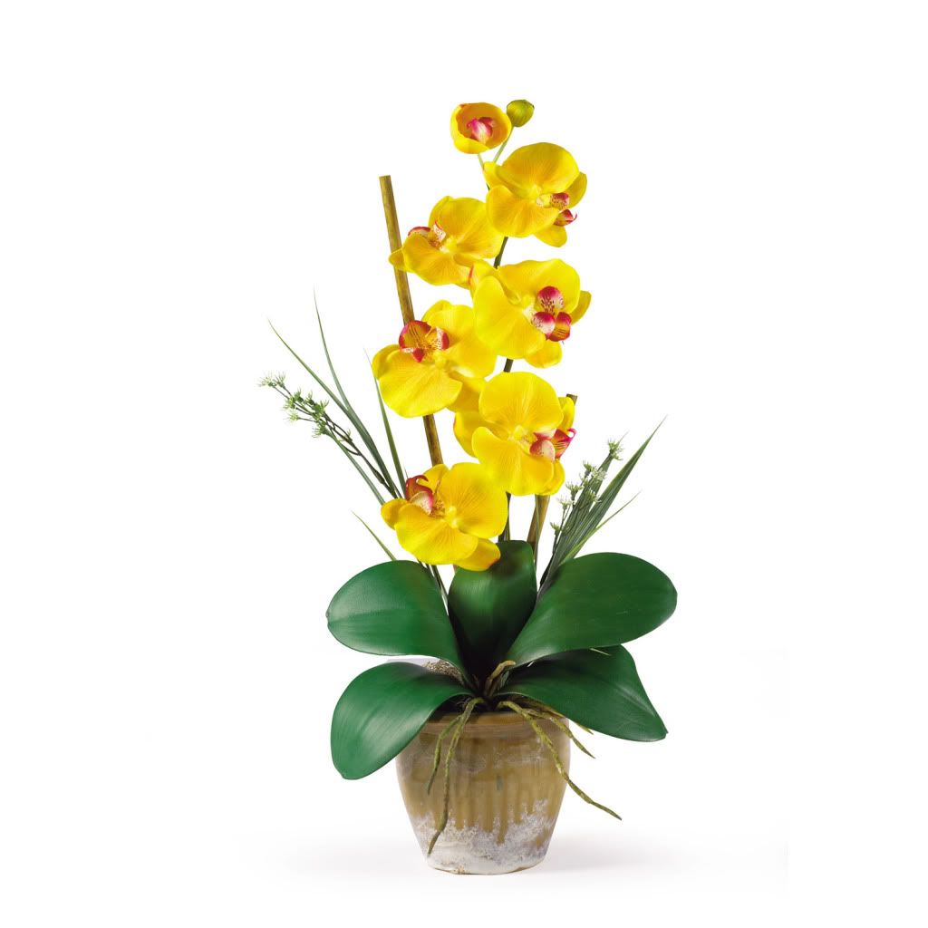 Gold Yellow Single Stem Phalaenopsis Silk Orchid Flower ...