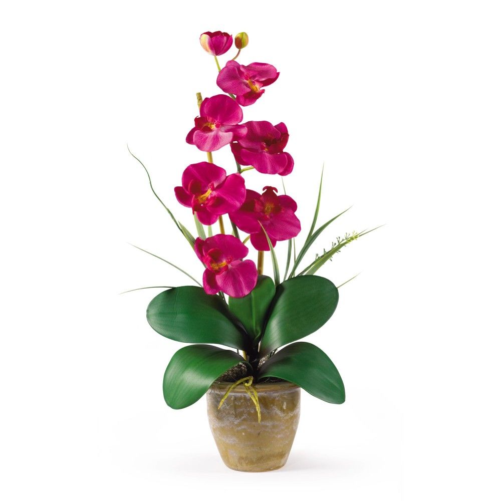 Beauty Single Stem Phalaenopsis Silk Orchid Flower Floral Arrangement