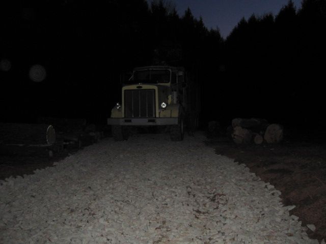 Logging Question - Homesteading Questions