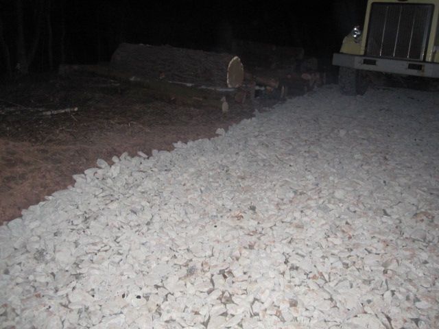 Logging Question - Homesteading Questions