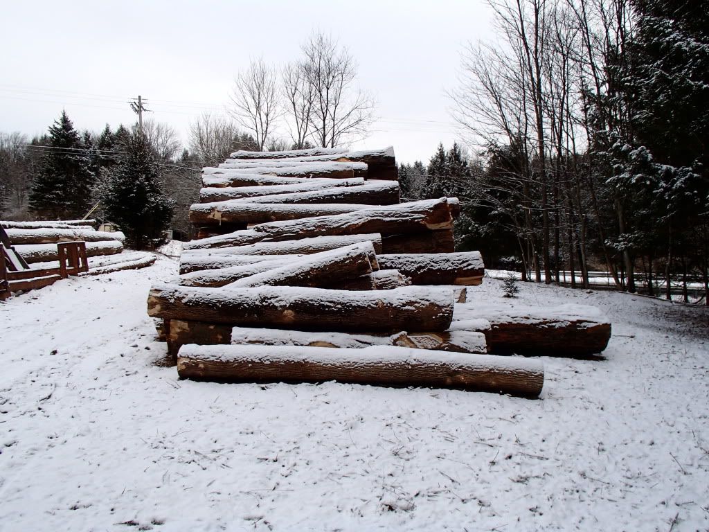 P2160318_zpse0d1215c.jpg