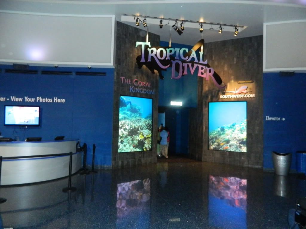 DSCN1649.jpg
