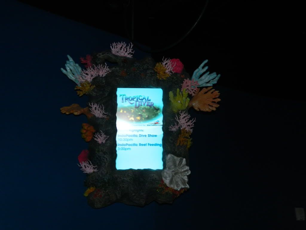 DSCN1650.jpg