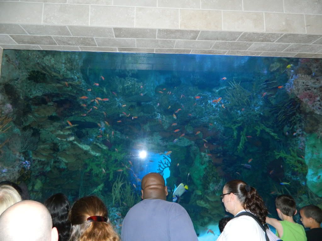DSCN1651.jpg