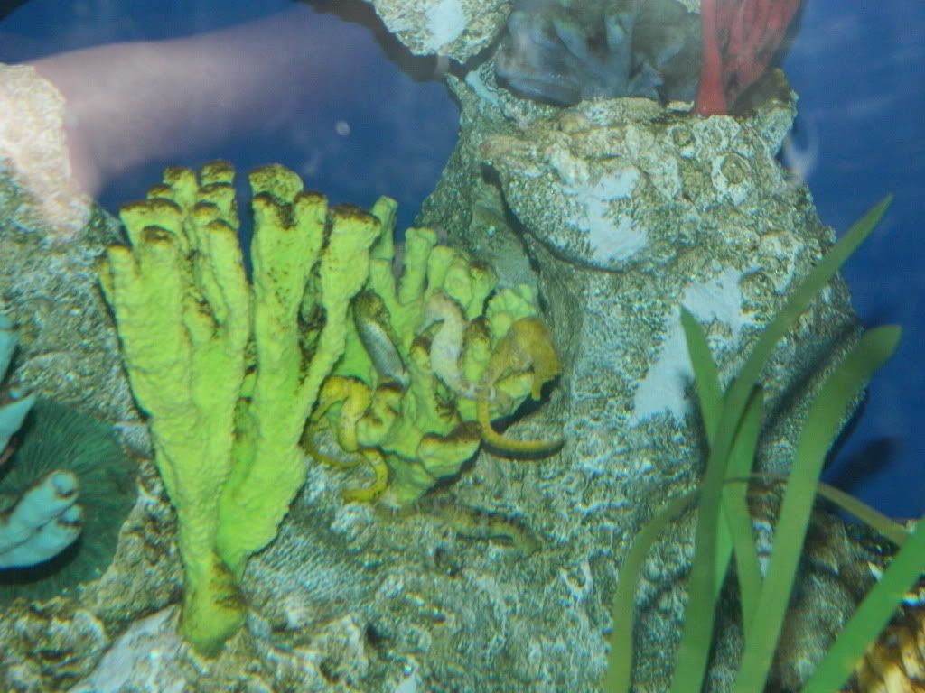DSCN1652.jpg