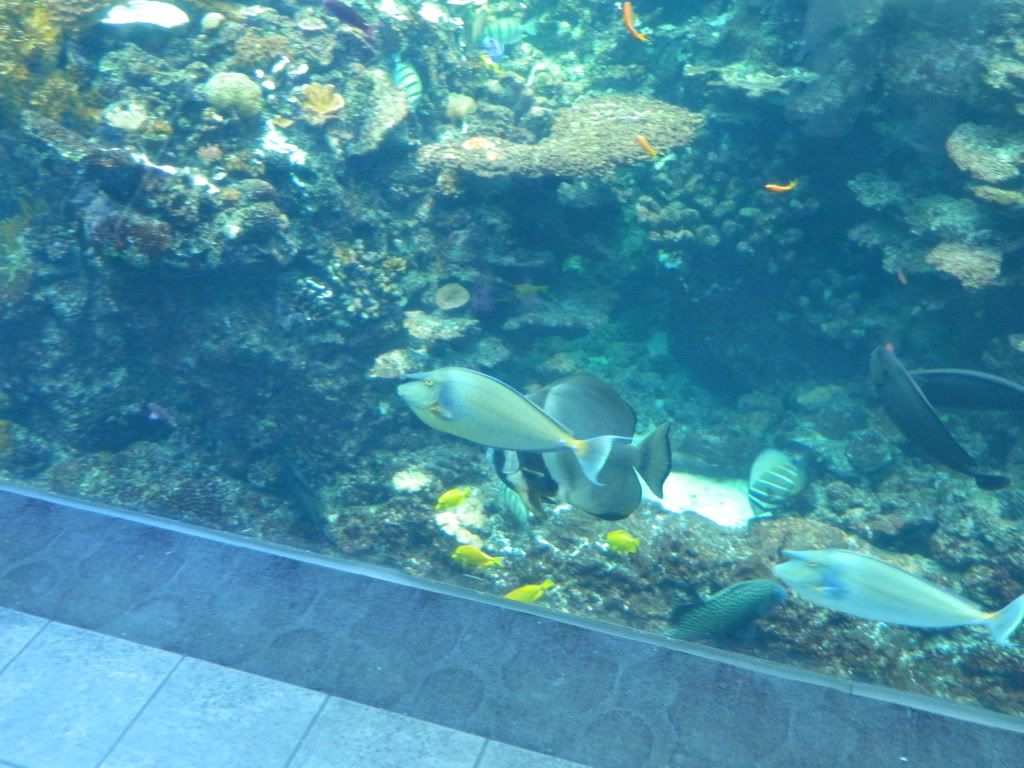 DSCN1659.jpg