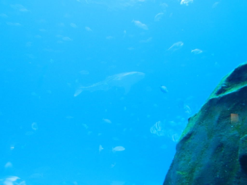 DSCN1662.jpg