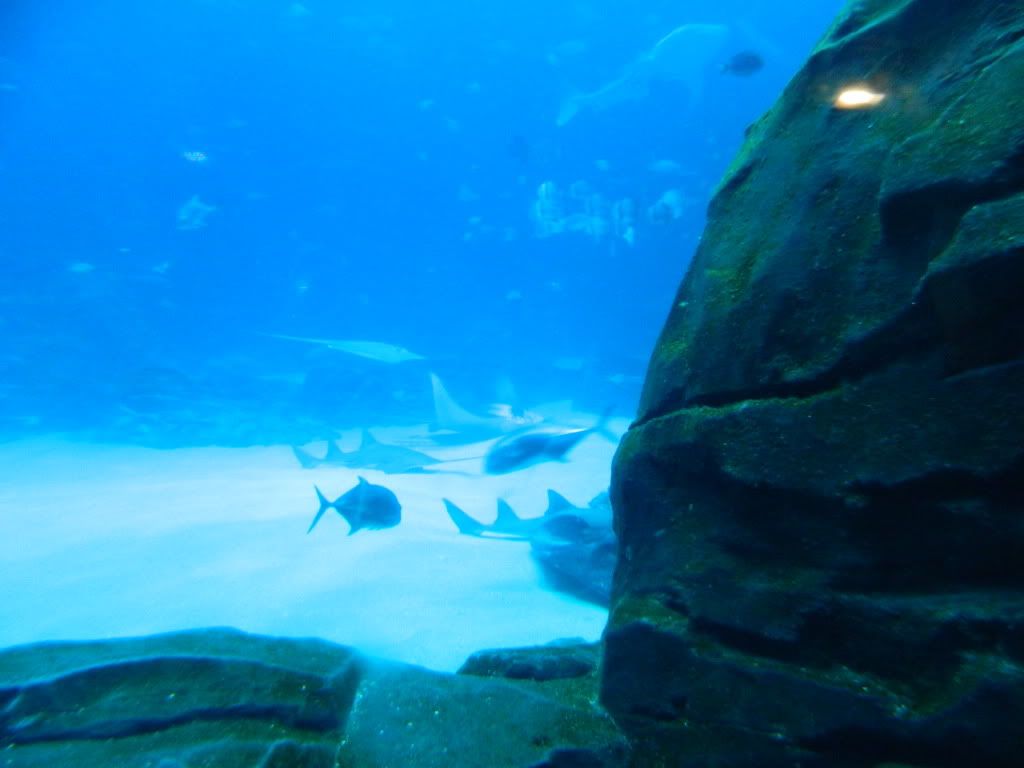 DSCN1663.jpg