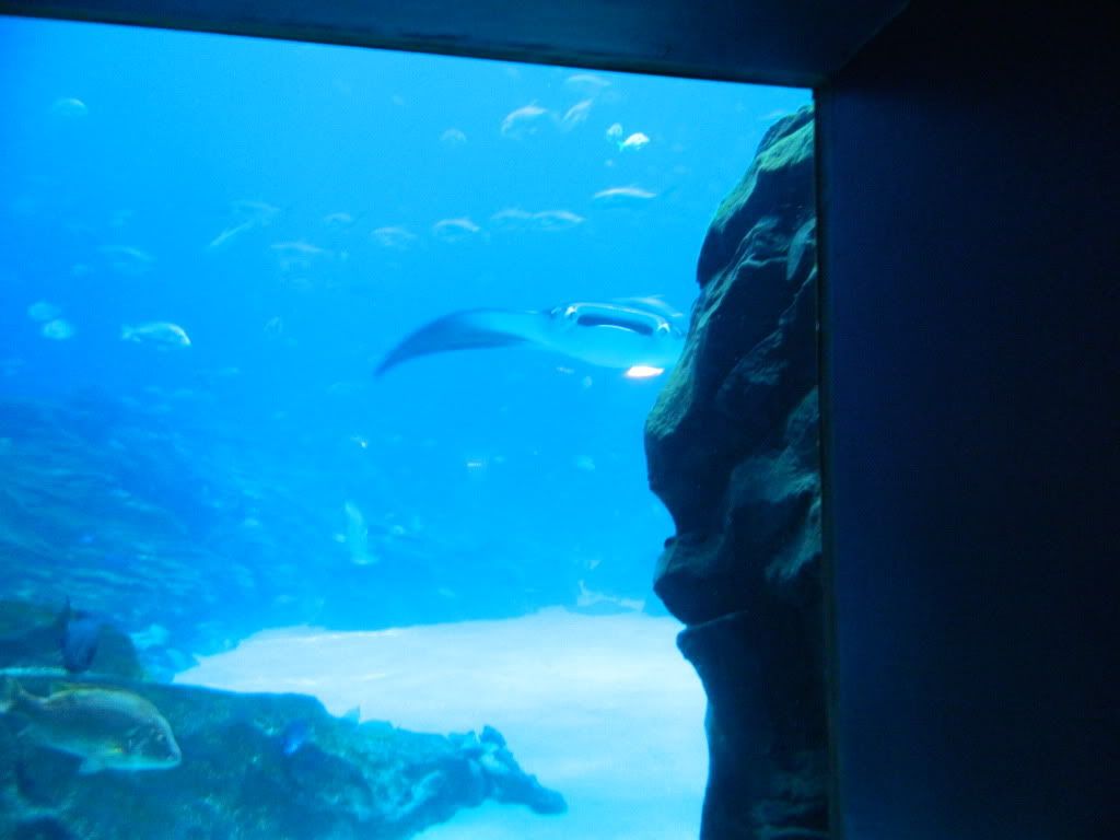 DSCN1667.jpg