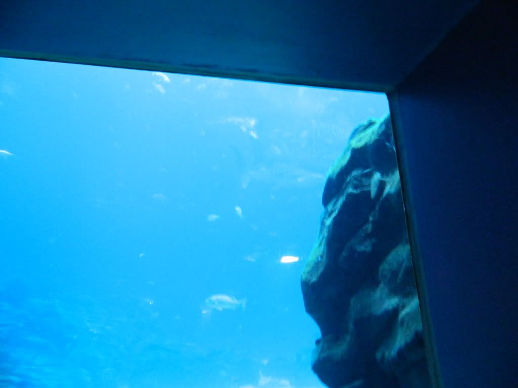 DSCN1670.jpg