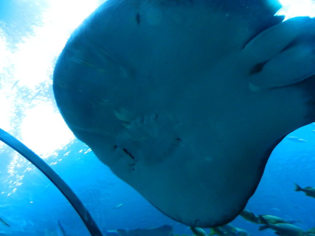 DSCN1675.jpg