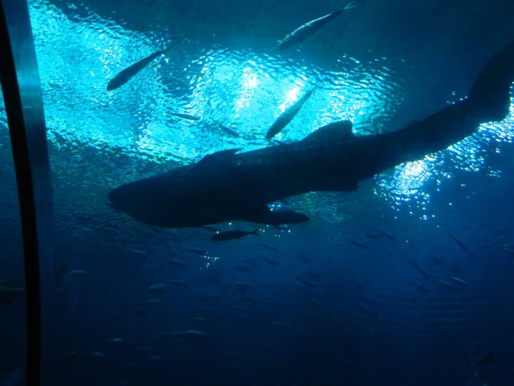 DSCN1680.jpg