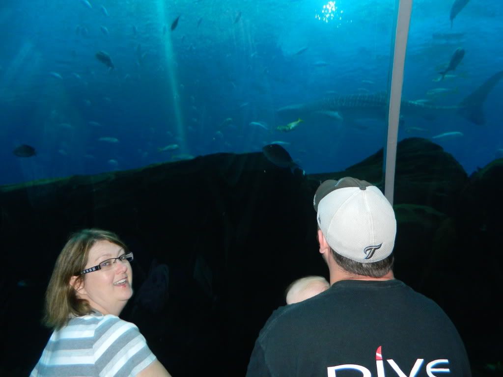 DSCN1686.jpg