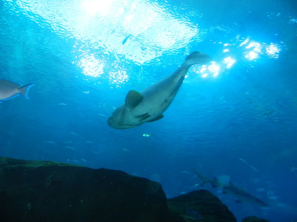 DSCN1690.jpg
