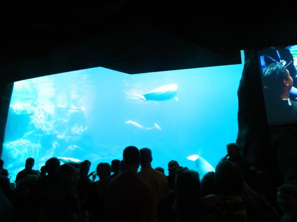 DSCN1700.jpg