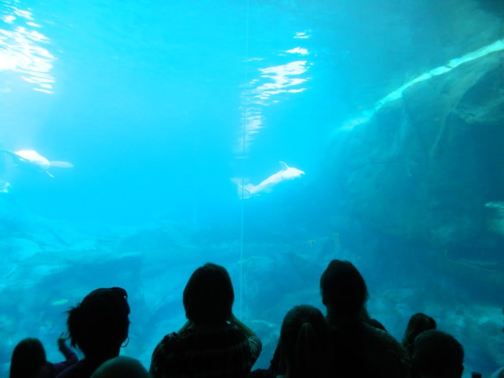 DSCN1703.jpg