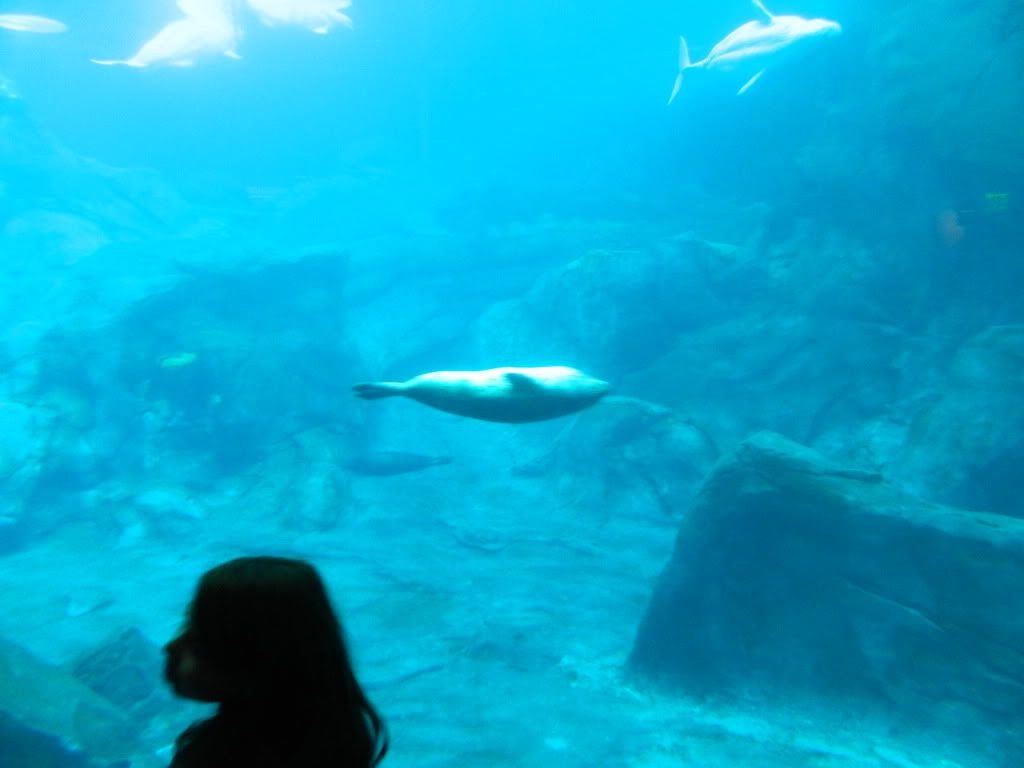 DSCN1705.jpg