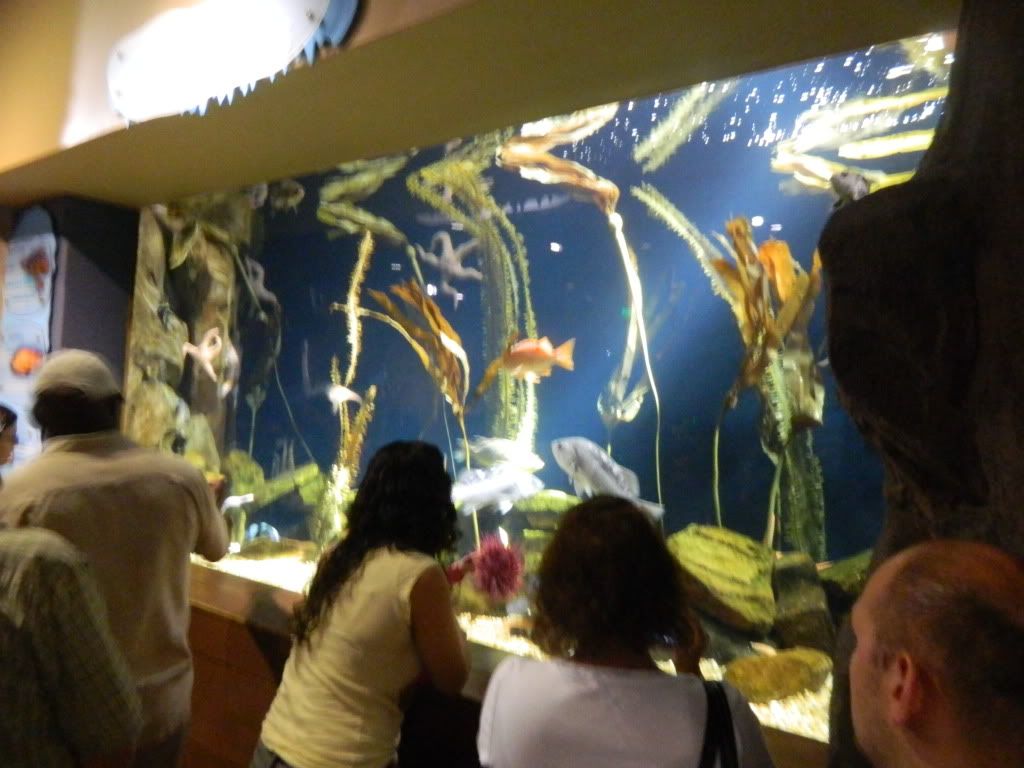 DSCN1707.jpg