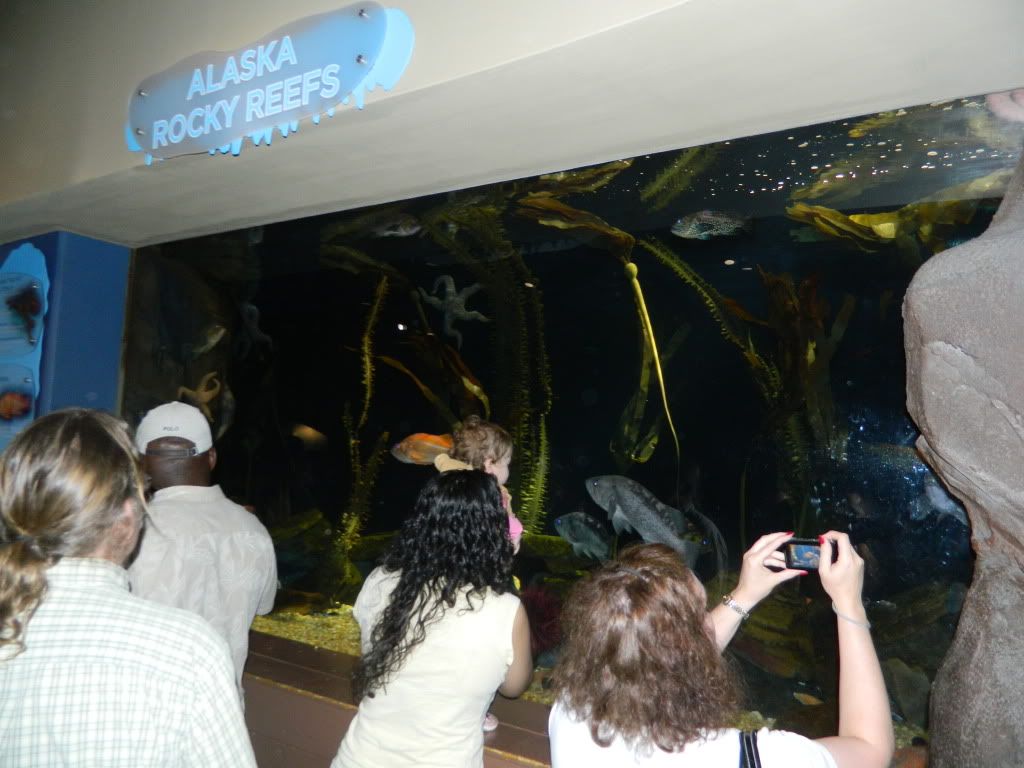 DSCN1708.jpg