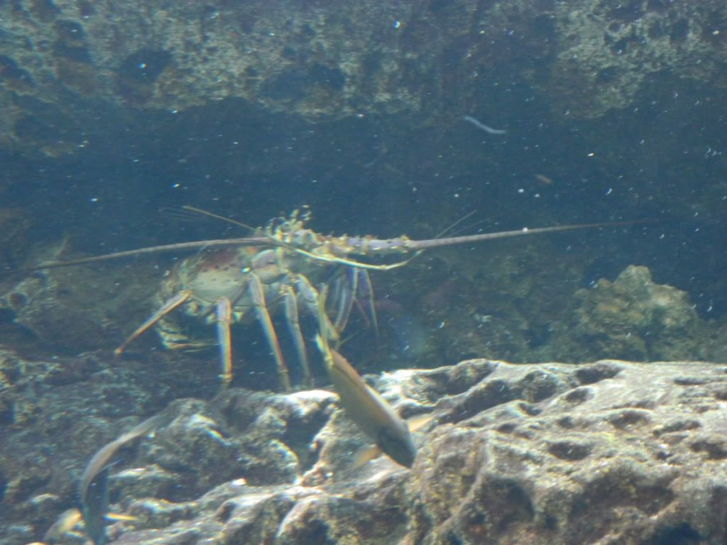 DSCN1714.jpg