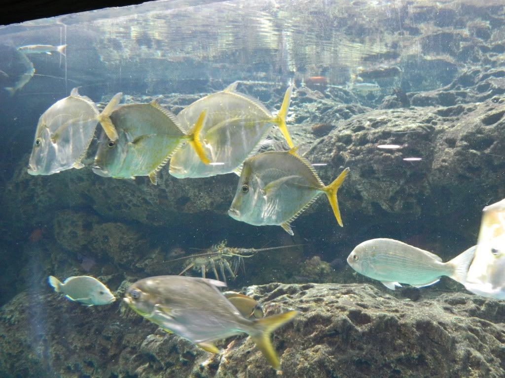 DSCN1715.jpg