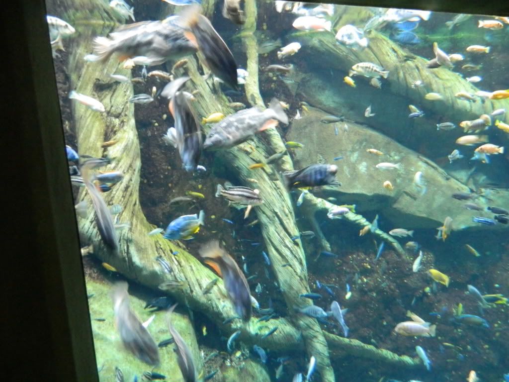 DSCN1718.jpg