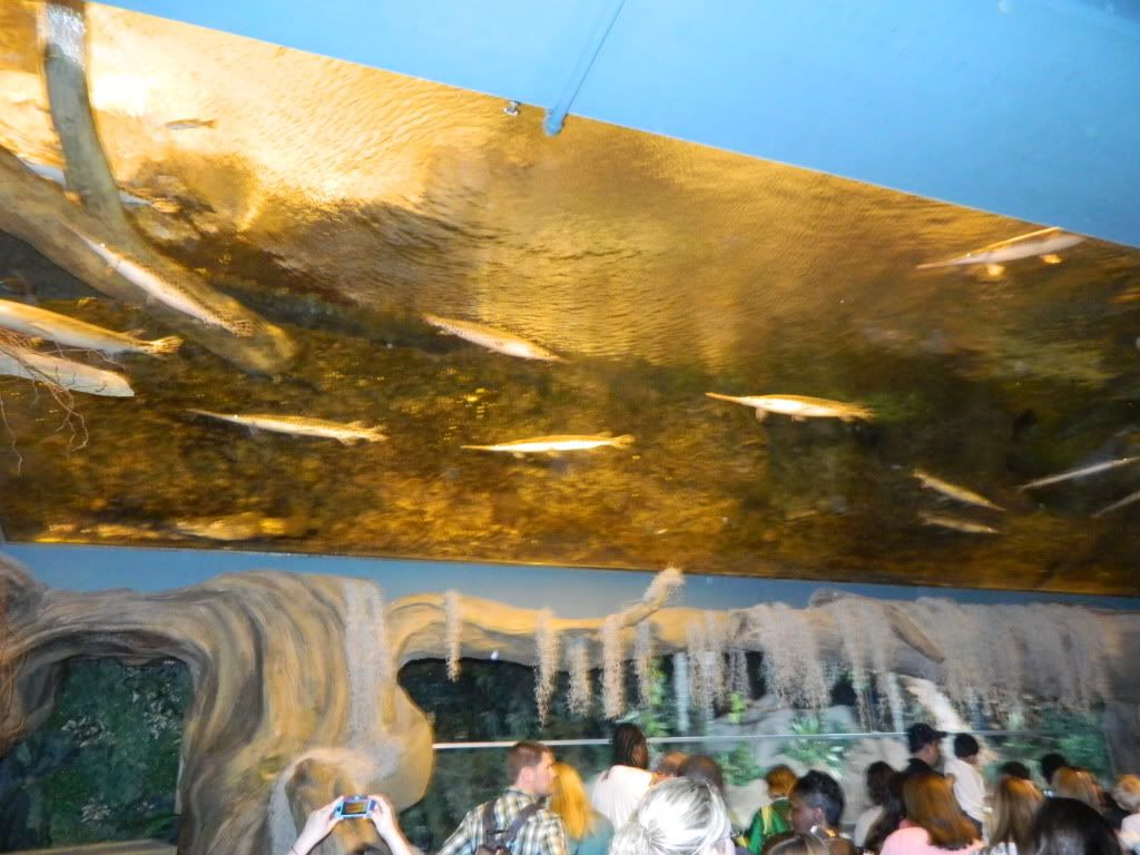 DSCN1724.jpg