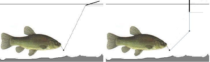 LiftBiteComparison_zps3ac2c2ec.jpg