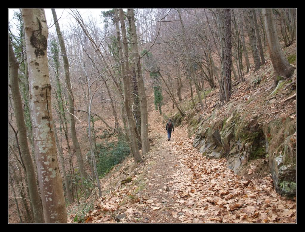 P1224266.jpg