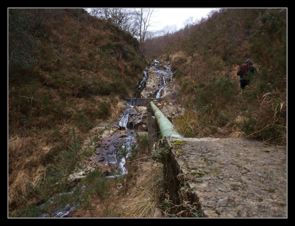 P1224345.jpg