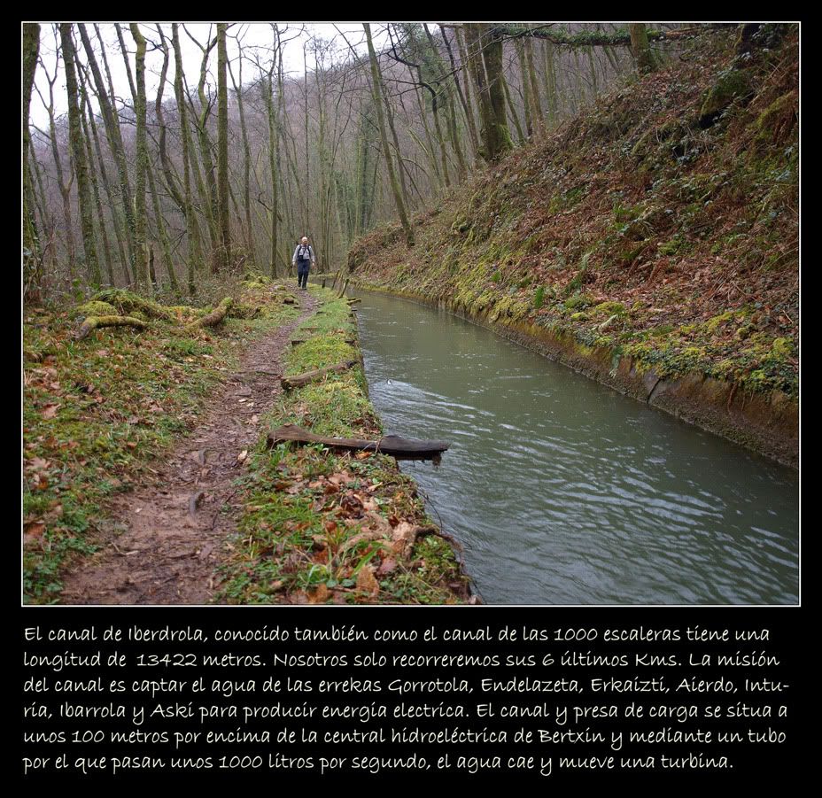 P2264640.jpg
