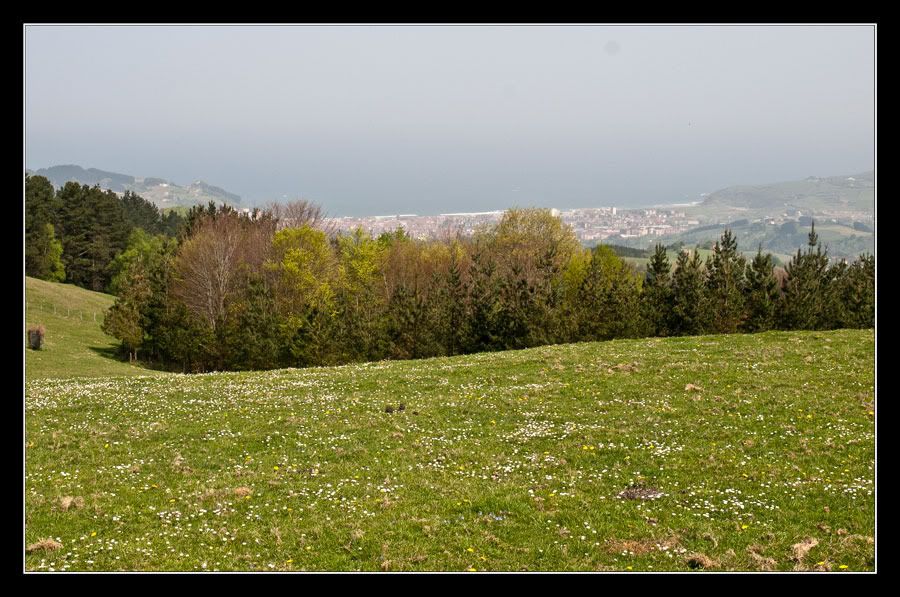 P4095224.jpg
