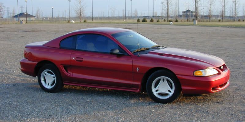 Mustang5.jpg