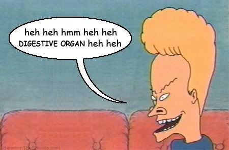 beavisdigestive.jpg