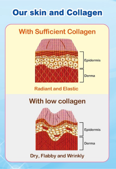  photo collagen3.png