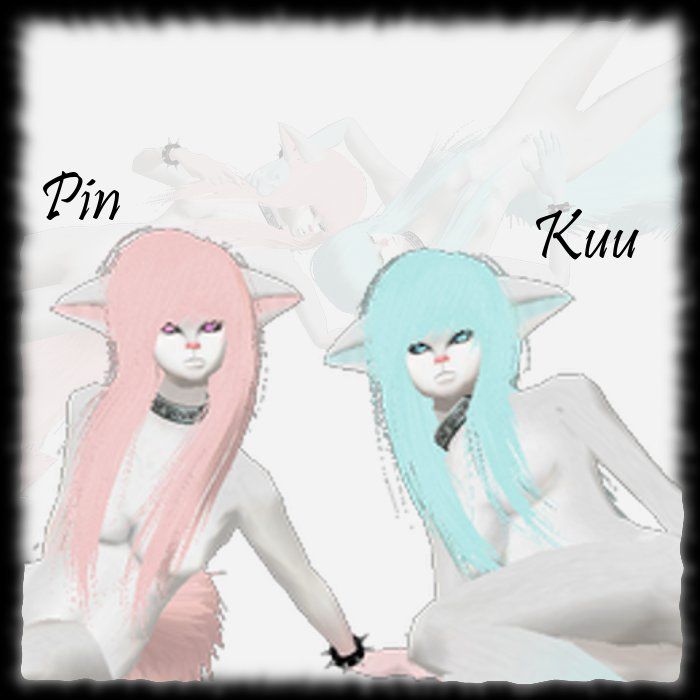 Pin & Kuu Fur