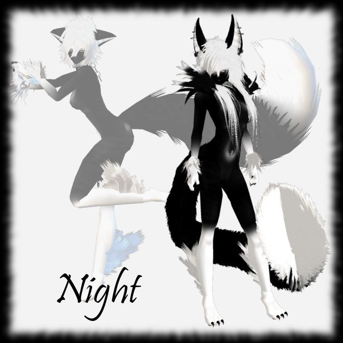 Night Furset photo NightFurPage_zps122fb339.jpg