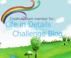 Life in Details Challenge blog