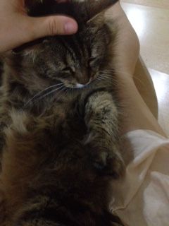 IMG_6705.jpg?t=1482025196