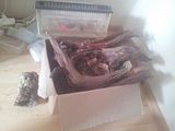 th_20141007_142039.jpg