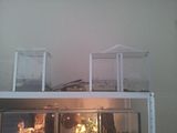 th_20141007_142046.jpg