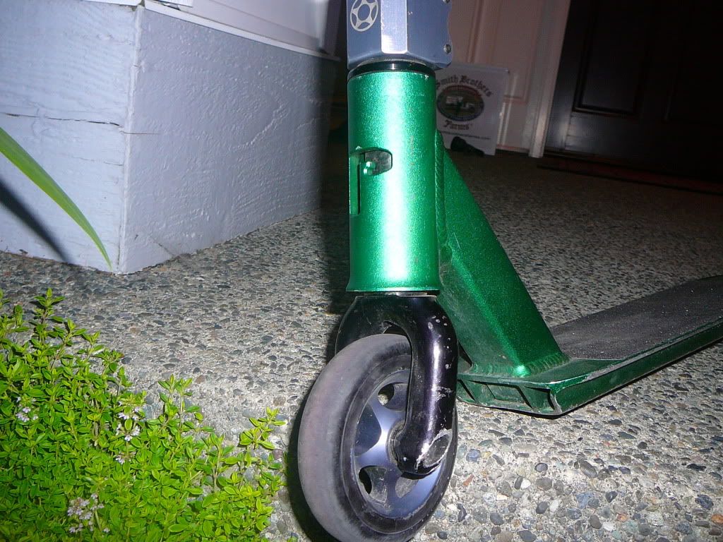 scooter002.jpg